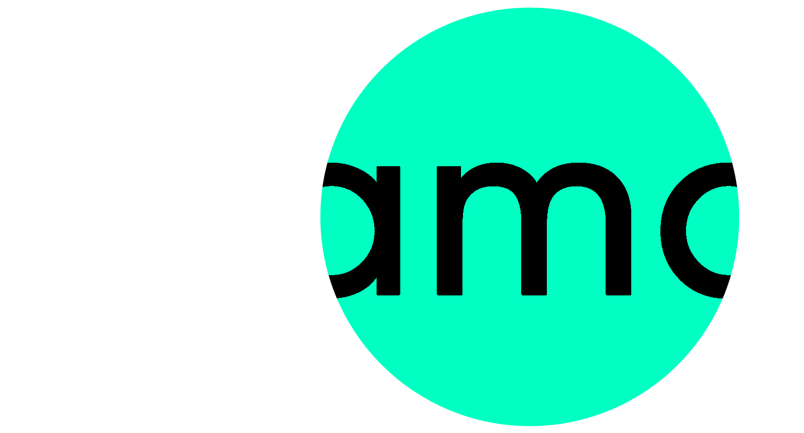Usama Yaqoob | Top Rated Fiverr Pro Web Developer